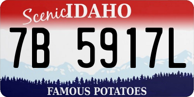 ID license plate 7B5917L