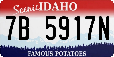 ID license plate 7B5917N