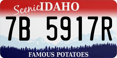 ID license plate 7B5917R