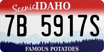 ID license plate 7B5917S