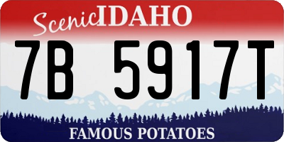 ID license plate 7B5917T