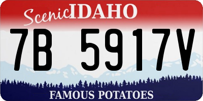ID license plate 7B5917V