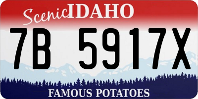 ID license plate 7B5917X