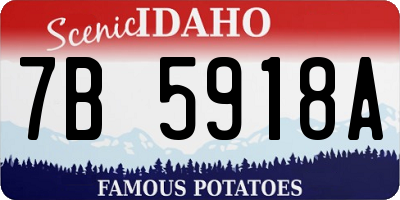 ID license plate 7B5918A
