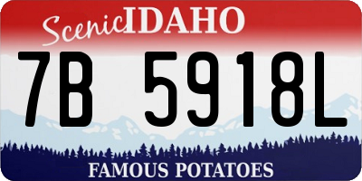 ID license plate 7B5918L