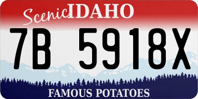 ID license plate 7B5918X