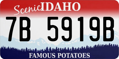 ID license plate 7B5919B