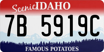 ID license plate 7B5919C