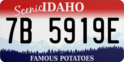 ID license plate 7B5919E