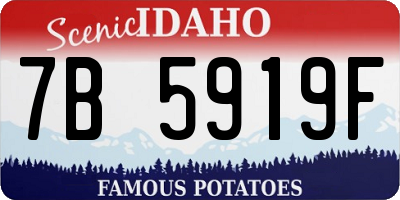 ID license plate 7B5919F