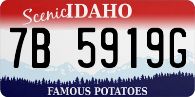 ID license plate 7B5919G