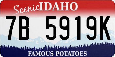 ID license plate 7B5919K