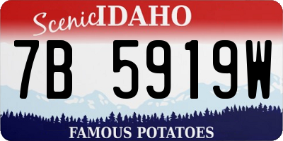 ID license plate 7B5919W