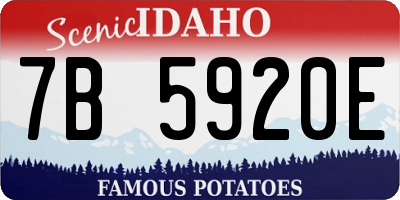 ID license plate 7B5920E