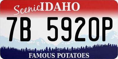 ID license plate 7B5920P