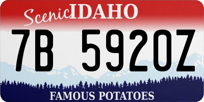 ID license plate 7B5920Z