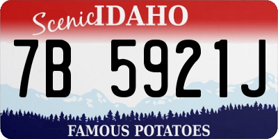 ID license plate 7B5921J