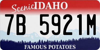 ID license plate 7B5921M