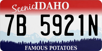 ID license plate 7B5921N