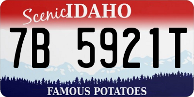 ID license plate 7B5921T