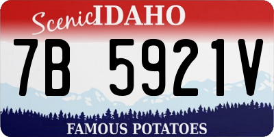 ID license plate 7B5921V
