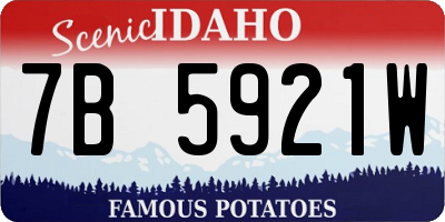 ID license plate 7B5921W