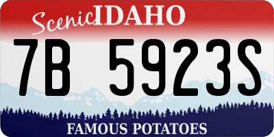 ID license plate 7B5923S