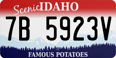 ID license plate 7B5923V