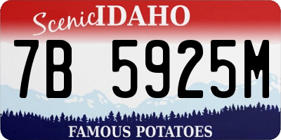ID license plate 7B5925M