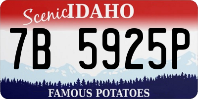 ID license plate 7B5925P