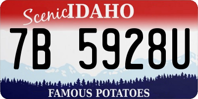 ID license plate 7B5928U
