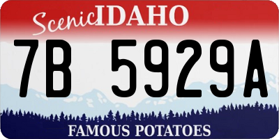 ID license plate 7B5929A