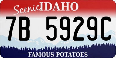 ID license plate 7B5929C