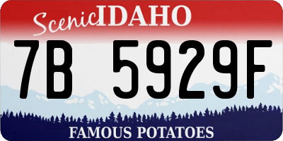 ID license plate 7B5929F