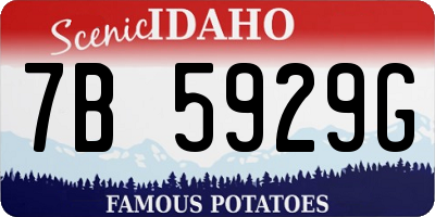 ID license plate 7B5929G