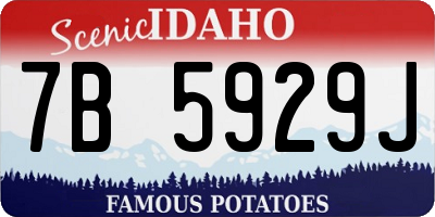 ID license plate 7B5929J
