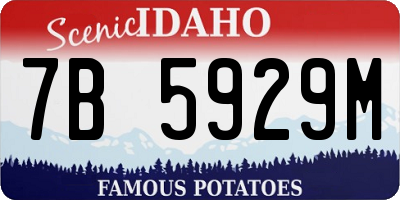 ID license plate 7B5929M