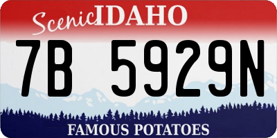 ID license plate 7B5929N