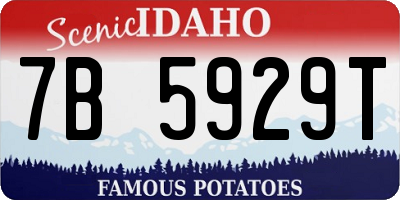 ID license plate 7B5929T