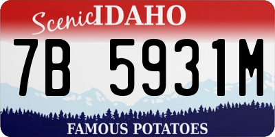 ID license plate 7B5931M