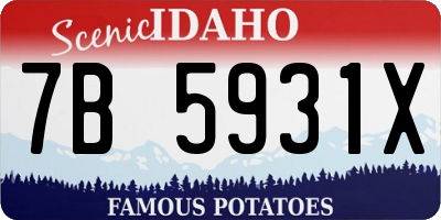 ID license plate 7B5931X