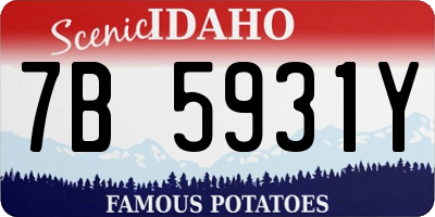 ID license plate 7B5931Y