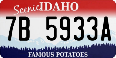 ID license plate 7B5933A