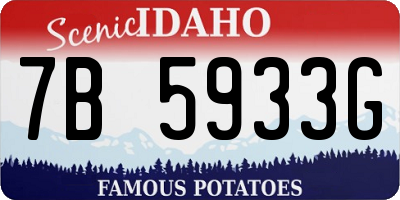 ID license plate 7B5933G