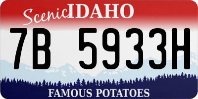ID license plate 7B5933H