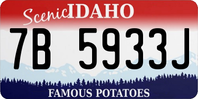 ID license plate 7B5933J