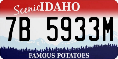 ID license plate 7B5933M