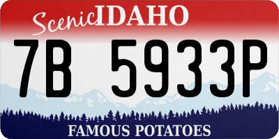 ID license plate 7B5933P
