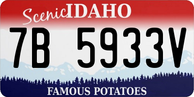 ID license plate 7B5933V