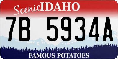 ID license plate 7B5934A